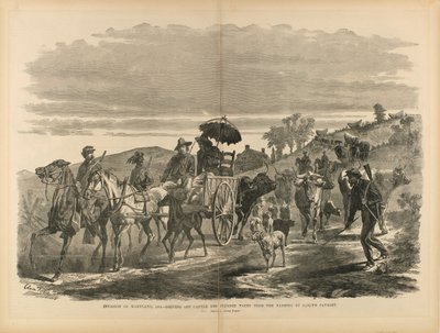Invasione del Maryland, 1864 - Scacciare il bestiame e il bottino dei contadini da parte della cavalleria di Early, da "Il soldato nella nostra guerra civile". da Edwin Forbes