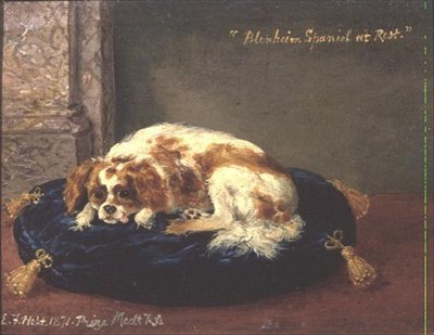 Spaniel Blenheim a riposo da Edwin Frederick Holt