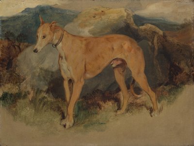 Un levriero, 1826 da Edwin Landseer