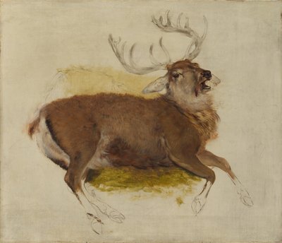 Cervo Morente da Edwin Landseer