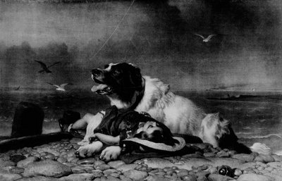 Salvato!, c1856, 1911 da Edwin Landseer