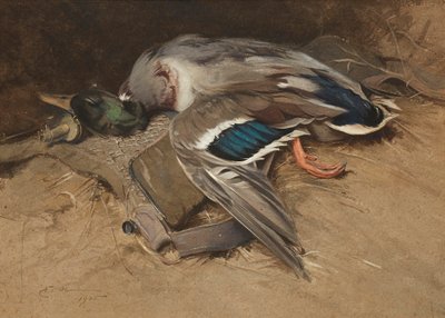 Germano reale da Edwin John Alexander