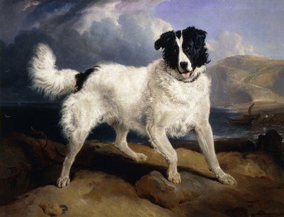 Ritratto di Nettuno, 1824 da Edwin Landseer