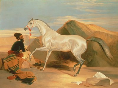 Stallone arabo da Edwin Landseer