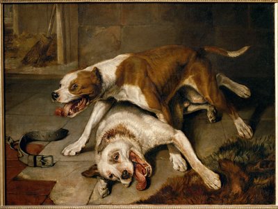 Chiens se battant, reprenant leur souffle - cani da combattimento in pausa per respirare ... da Edwin Landseer