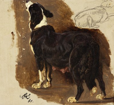 Cagna Collie da Edwin Landseer