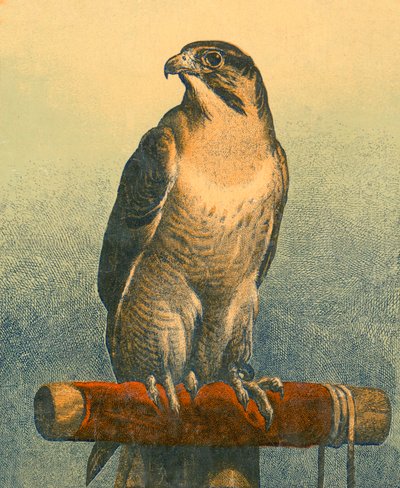 Falco da Edwin Landseer