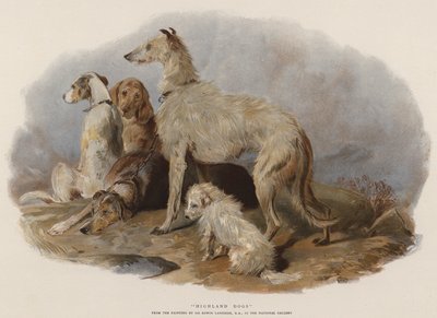 Cani delle Highlands da Edwin Landseer