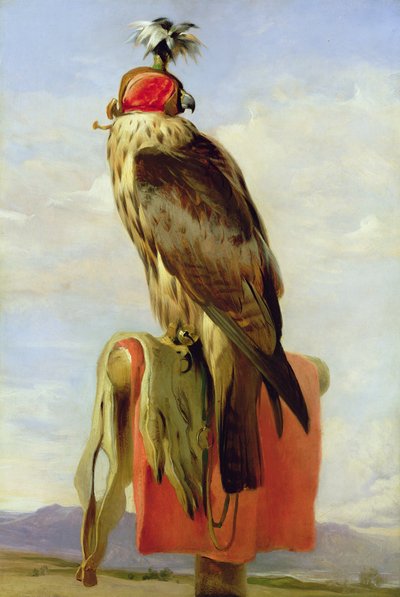 Falco incappucciato da Edwin Landseer