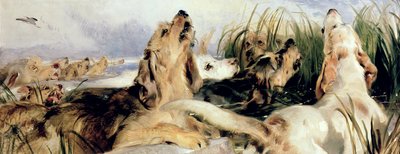 Segugi di lontra da Edwin Landseer