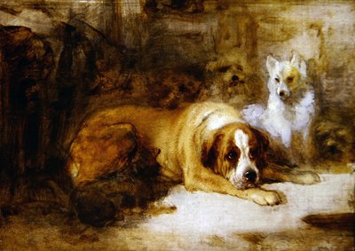 Studio di cani da Edwin Landseer