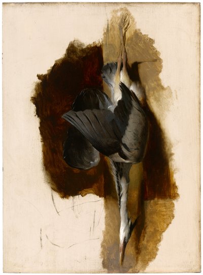 Studio di un airone morto, c.1832-33 da Edwin Landseer