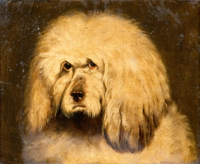 Studio della testa di un cane da Edwin Landseer