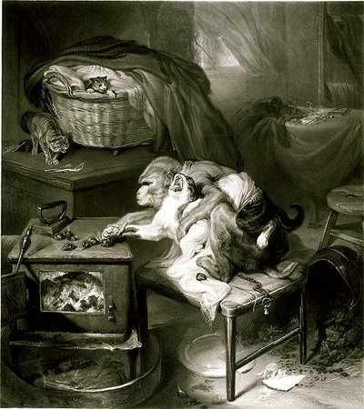 La zampa del gatto da Edwin Landseer