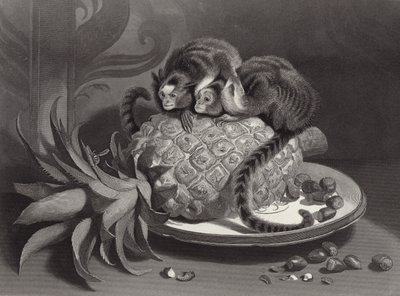Le Marmozettes da Edwin Landseer