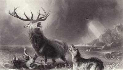 Il cervo in fuga da Edwin Landseer