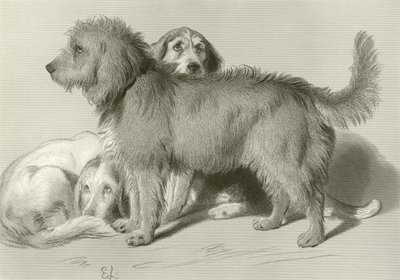 I tre cani da Edwin Landseer