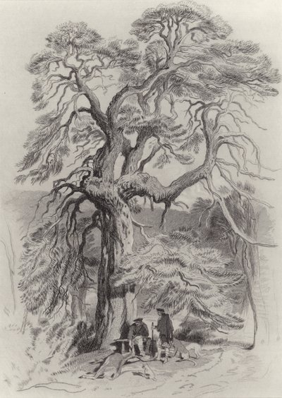 Sotto il vecchio abete da Edwin Landseer