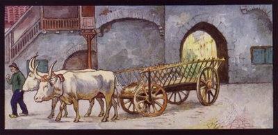 Buoi da tiro in Spagna da Edwin Noble