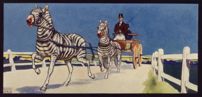 Guidare zebre, tandem da Edwin Noble