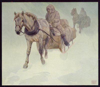 Pony Siberiani in Antartide da Edwin Noble