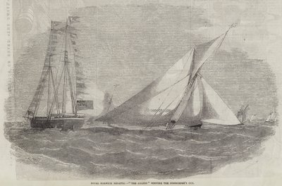 Regata reale di Harwich, L