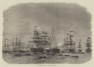 La flotta di corazzate nel porto di Portland da Edwin Weedon