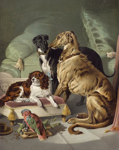 Dash, Hector, Nero e Lory da Edwin after Landseer