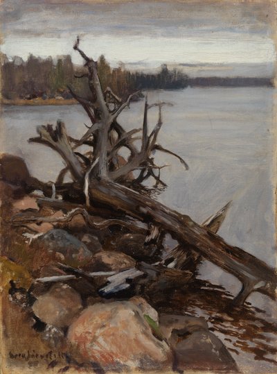  da Eero Järnefelt