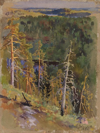  da Eero Järnefelt