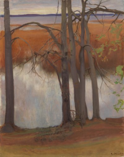  da Eero Järnefelt