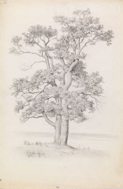  da Eero Järnefelt
