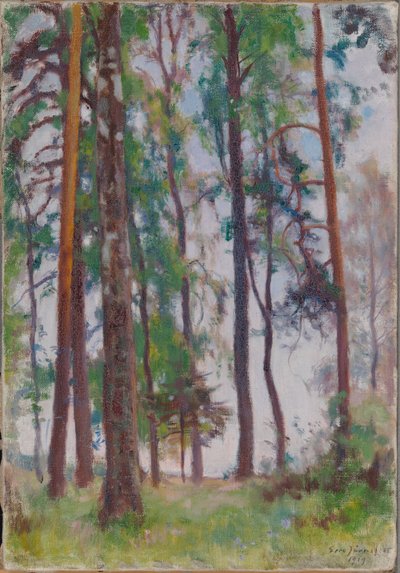 da Eero Järnefelt
