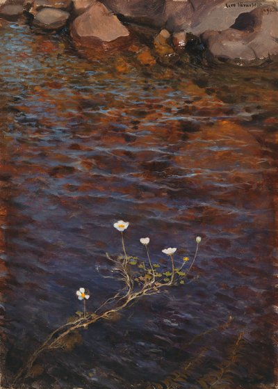 Ranuncolo acquatico di stagno da Eero Järnefelt
