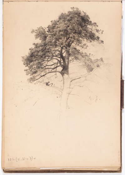  da Eero Järnefelt