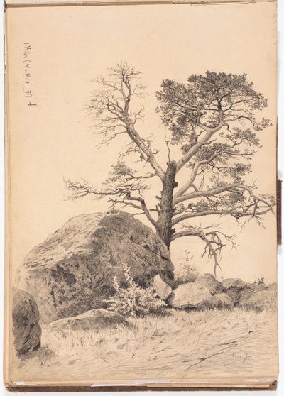 Senza titolo da Eero Järnefelt