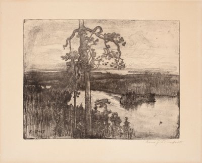  da Eero Järnefelt