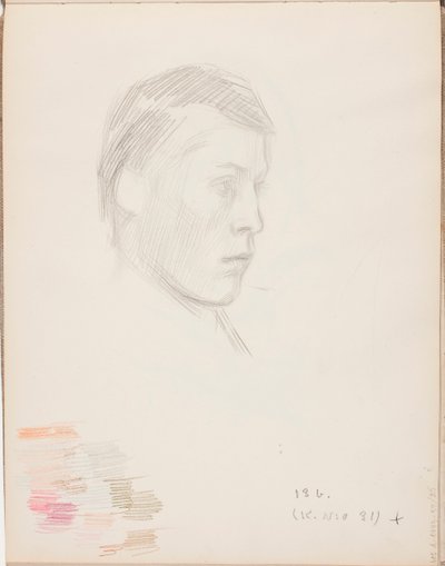 Senza titolo da Eero Järnefelt