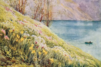 Svizzera da Effie Jardine