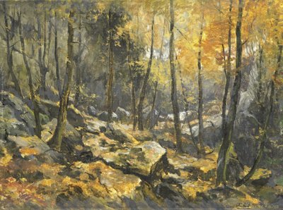 Felsenmeer da Egbert Rubertus Derk Schaap