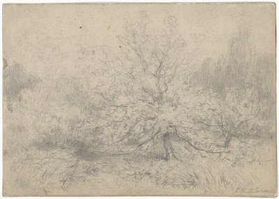 Paesaggio con un albero prominente al centro da Egbert Rubertus Derk Schaap