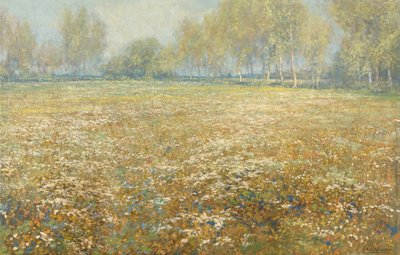 Prato in fiore da Egbert Rubertus Derk Schaap