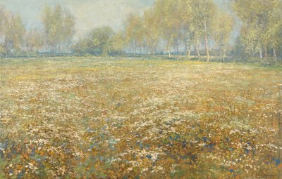 Prato in fiore da Egbert Schaap