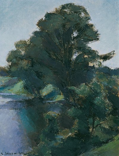 Alberi sull