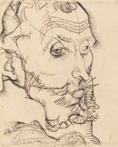 Ritratto di Franz Hauer da Egon Schiele