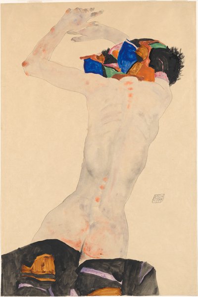 Nudo di schiena con un panno colorato, 1911 da Egon Schiele