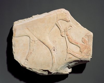Frammento di un rilievo che raffigura la nascita di un vitello, da Asasif, Tebe, Terzo Periodo Intermedio (c.1069-664 a.C.) da Egyptian