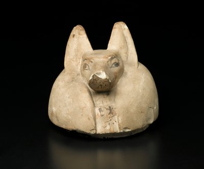 Coperchio di vaso canopo con testa di sciacallo da Egyptian