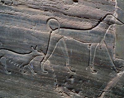 Coppia di cani, rilievo dall