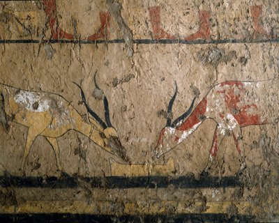 Antichità egizia: allevamento di bestiame. Affresco della tomba della regina Neferou III. XII dinastia. 2200-2000 a.C. Da El Ghebelen. Torino, Museo Egizio da Egyptian 12th Dynasty